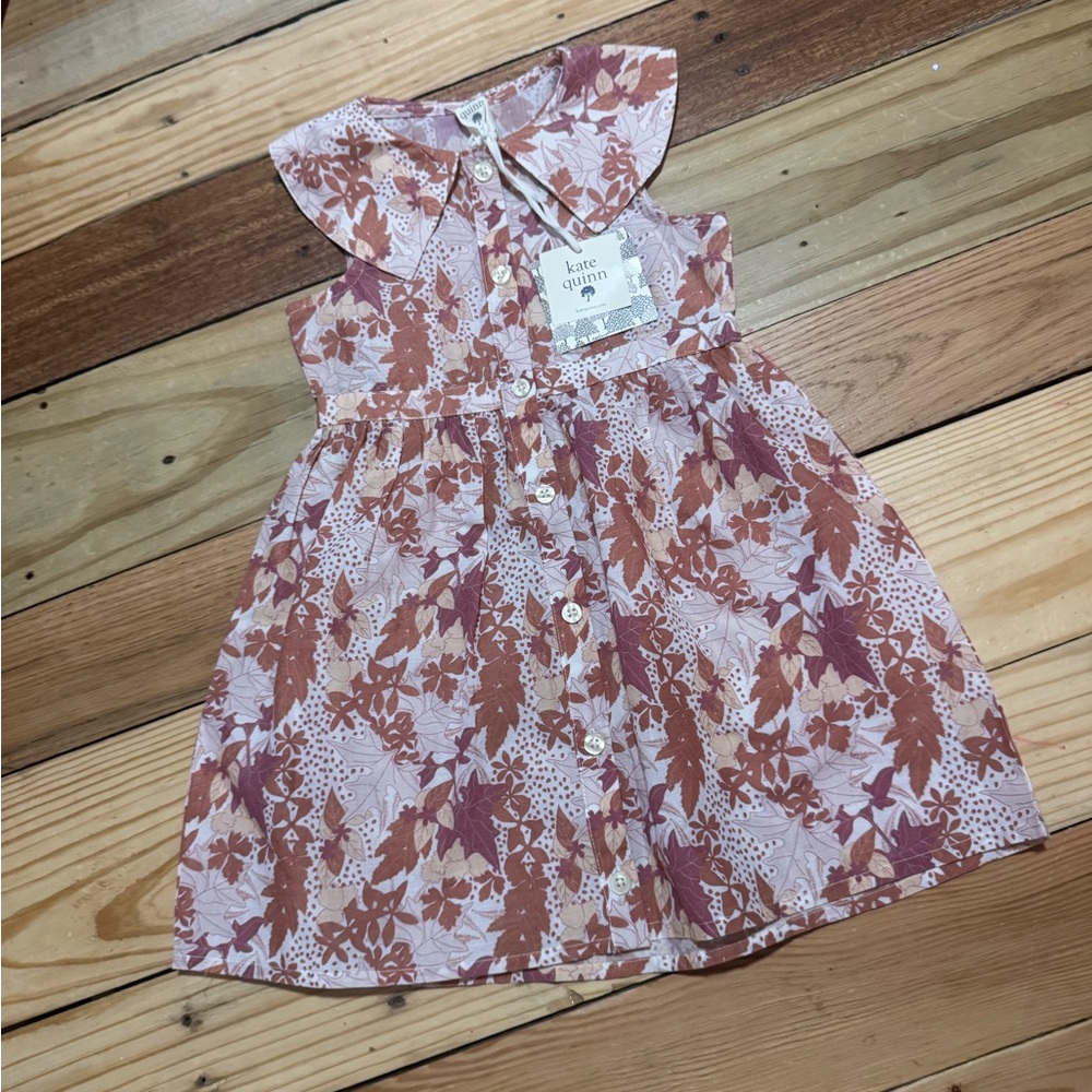 kate quinn Pink and Rust Floral Button-Front Dress